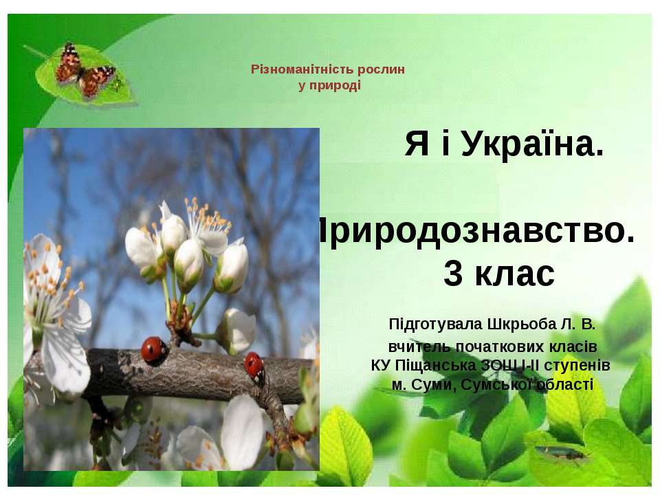 Різноманітність рослин у природі
