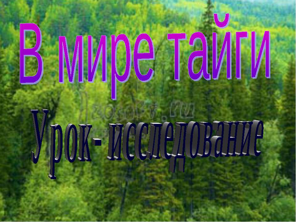 В мире тайги