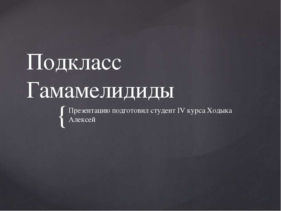 Подкласс Гамамелидиды