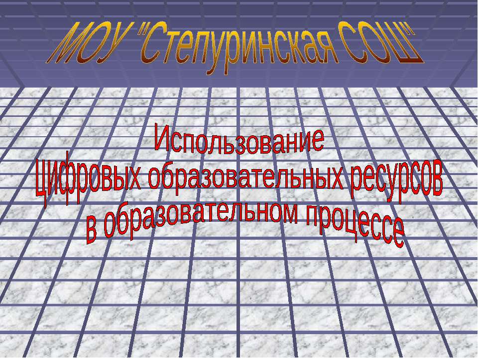 Использование цифровых образовательных ресурсов в образовательном процессе
