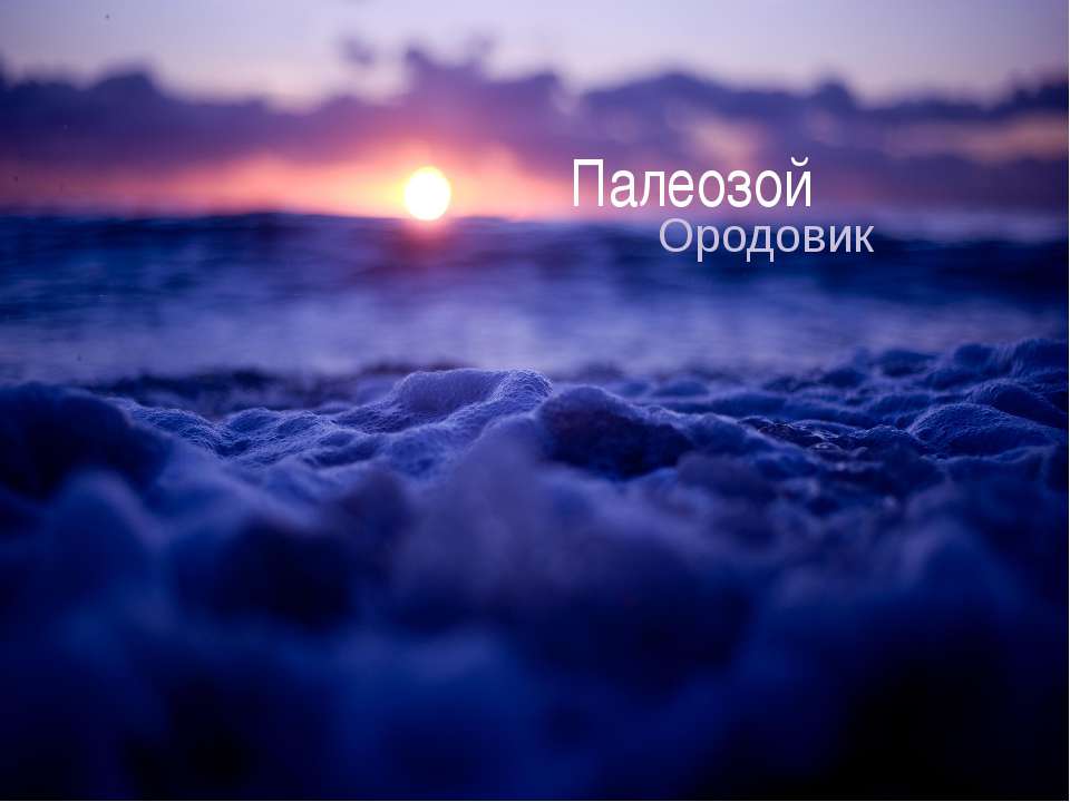 Палеозой. Ордовик