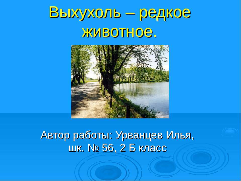 Выхухоль – редкое животное