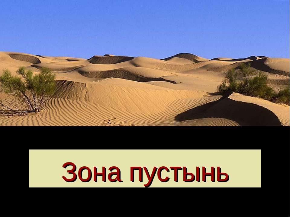 Зона пустынь