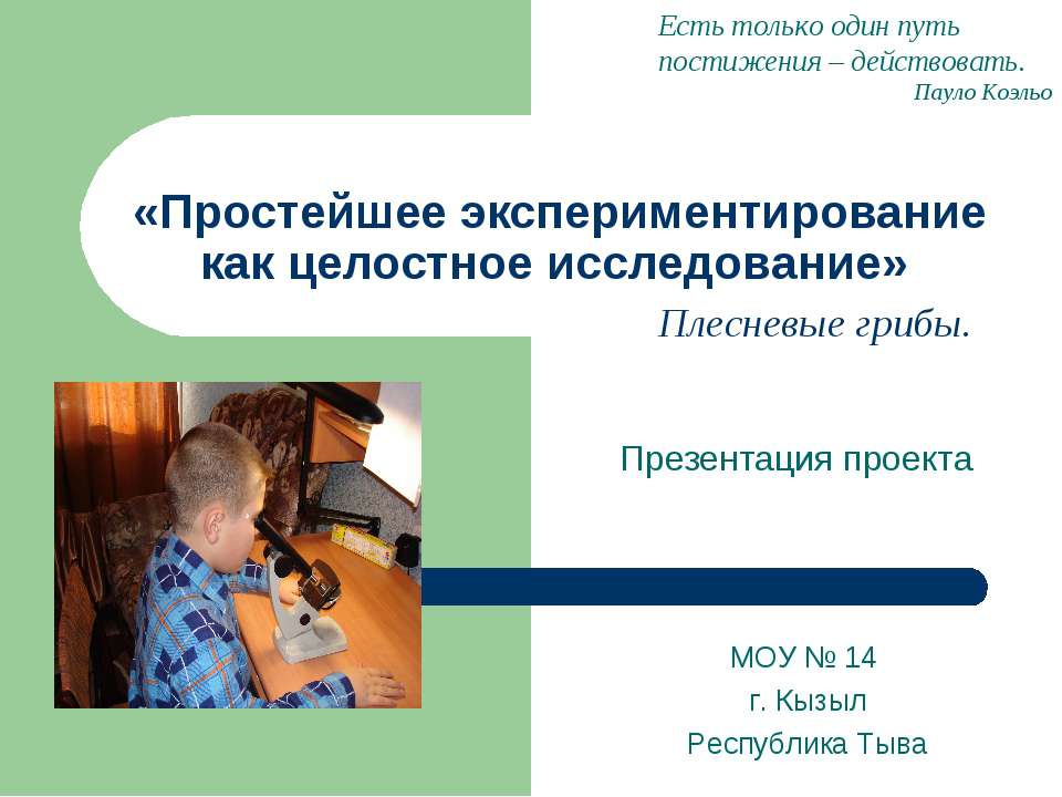 Простейшее экспериментирование как целостное исследование