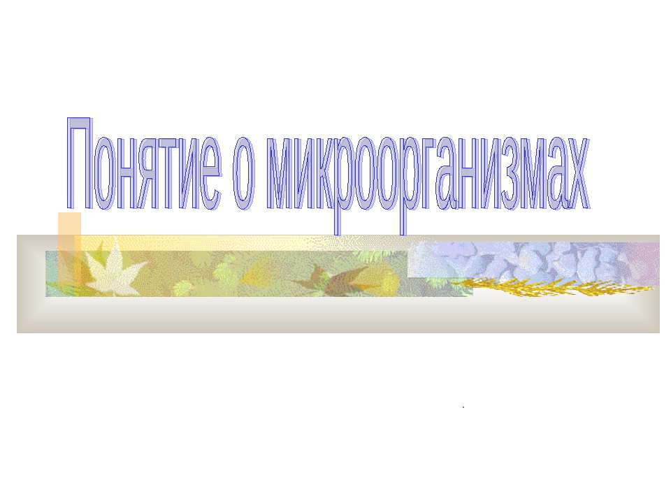 Понятие о микроорганизмах