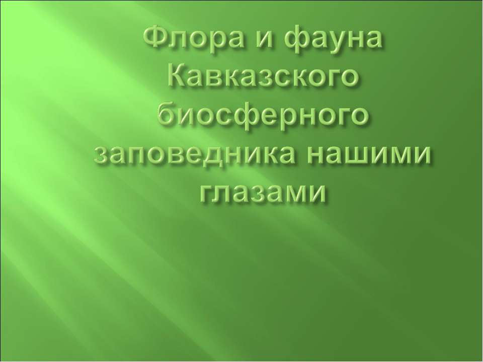 Флора и фауна Кавказского биосферного заповедника нашими глазами