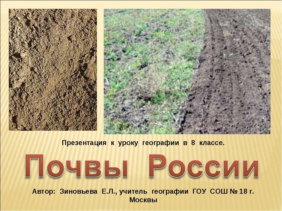 Почвы России