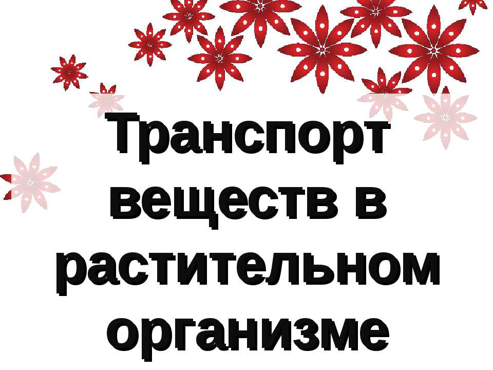 Транспорт веществ в растительном организме