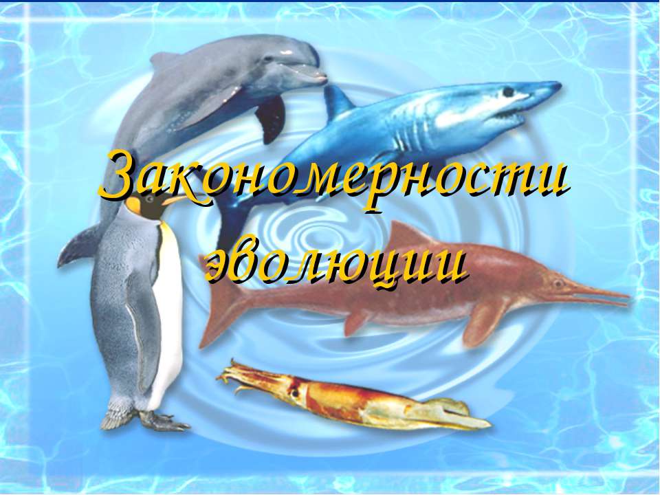 Закономерности эволюции