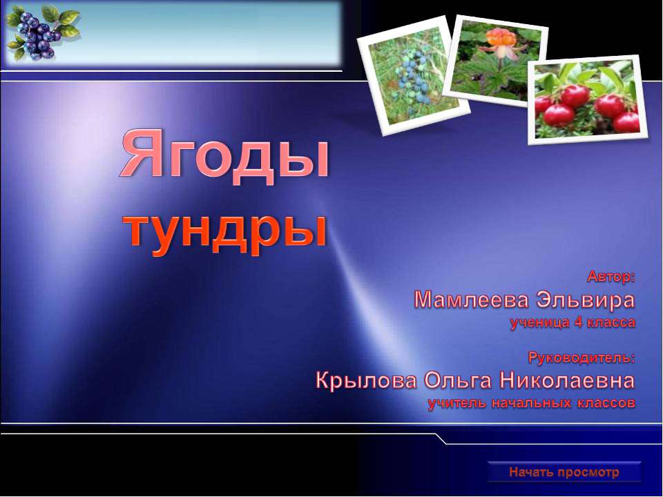 Ягоды тундры