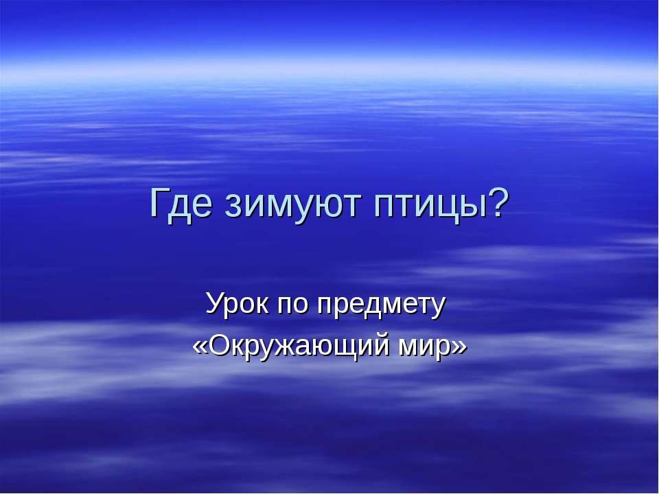 Где зимуют птицы?