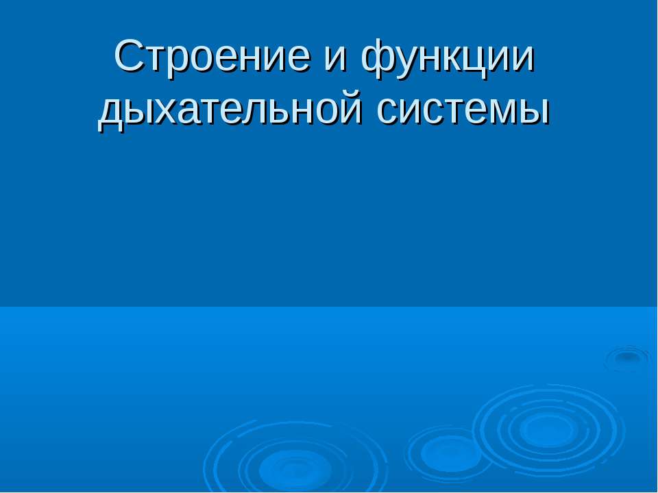 Строение и функции дыхательной системы