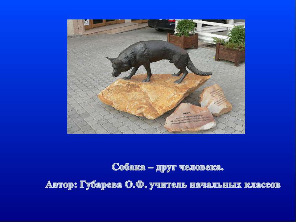 Собака – друг человека