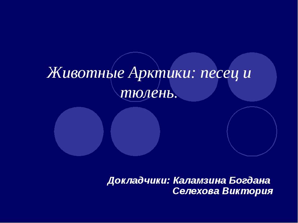 Животные Арктики: песец и тюлень