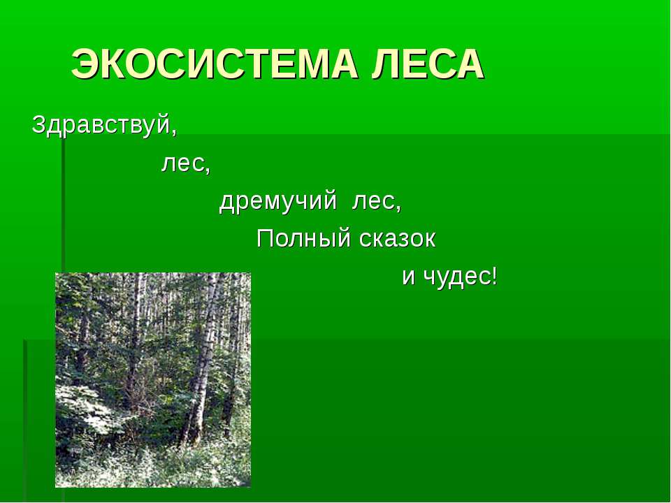 Экосистема леса