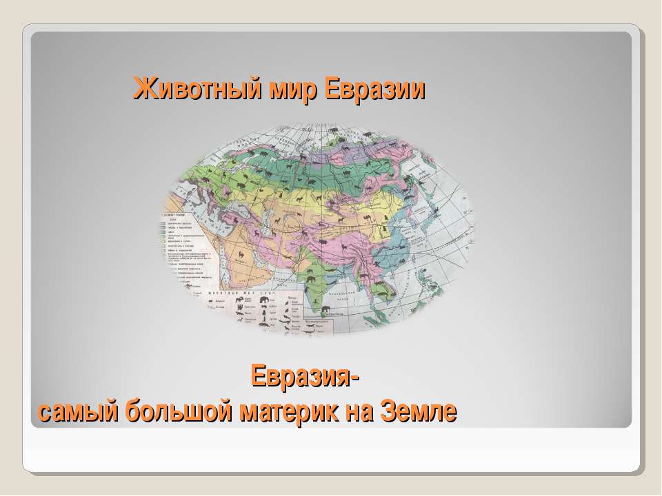 Животный мир Евразии. Евразия-самый большой материк на Земле