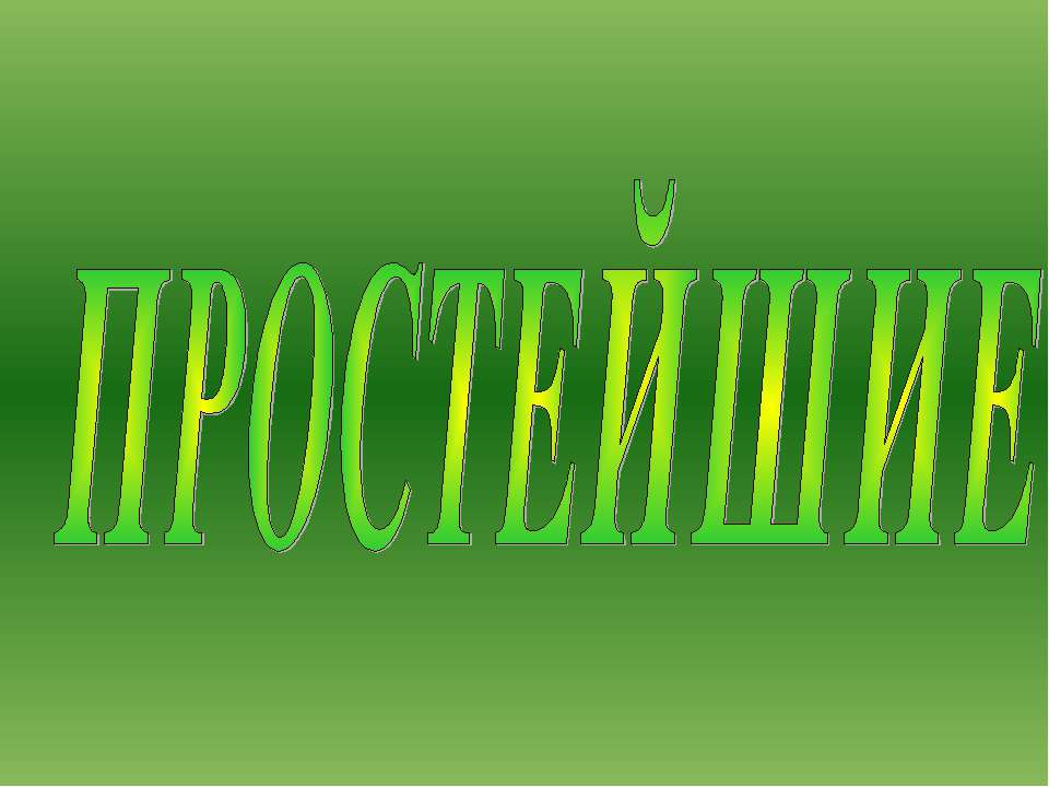 Простейшие