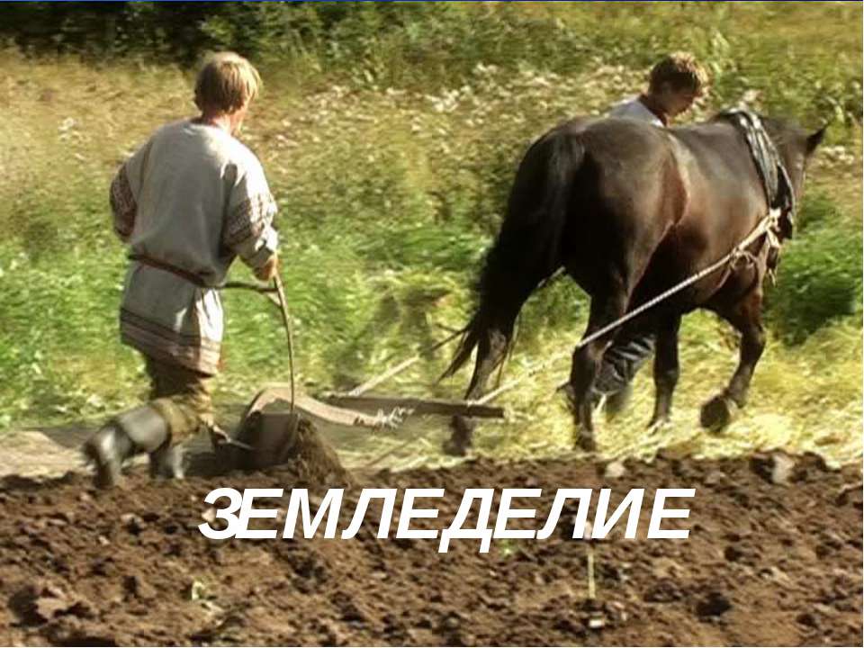 Земледелие