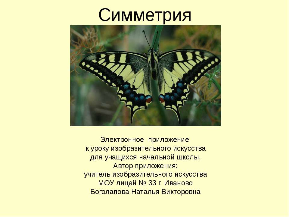 Симметрия