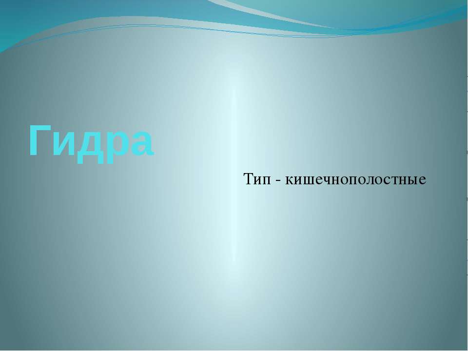 Гидра