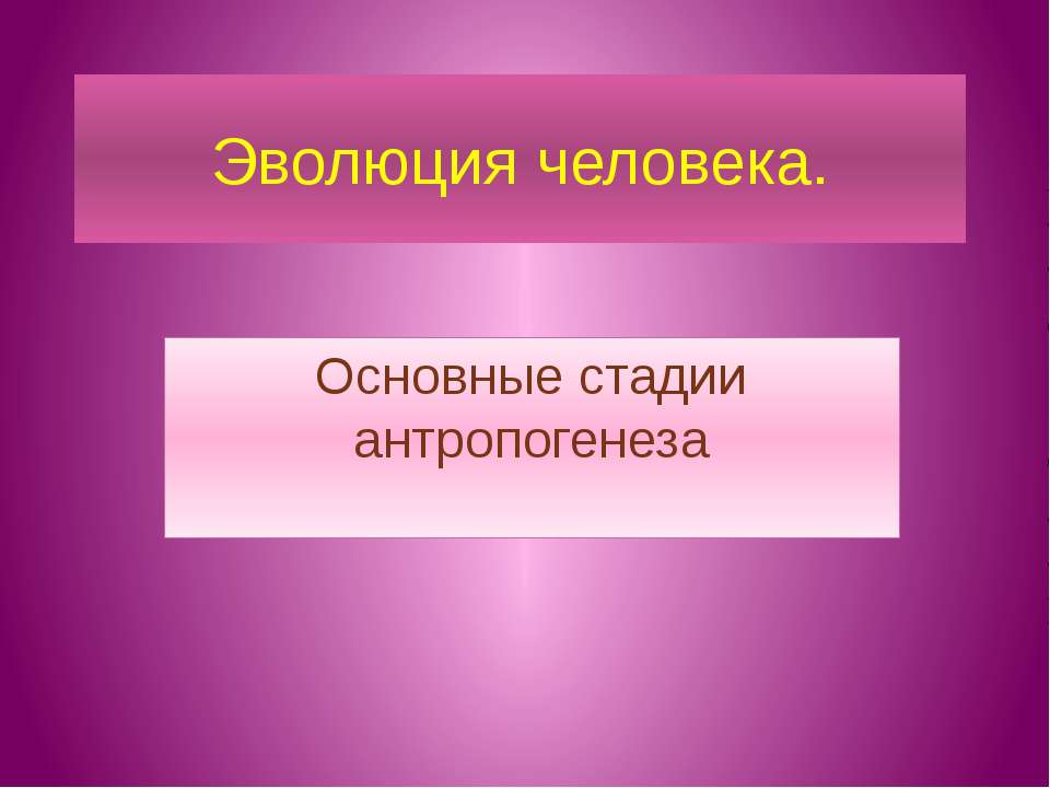 Эволюция человека. Основные стадии антропогенеза