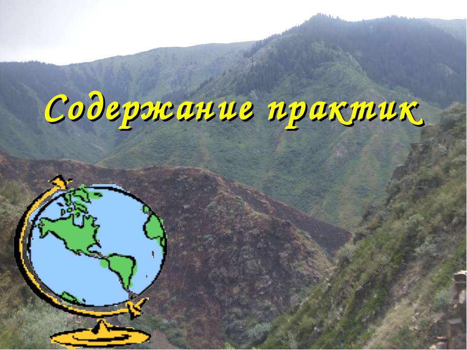 Содержание практик