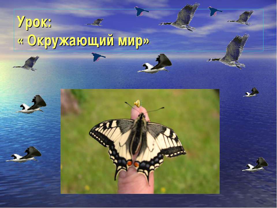 Окружающий мир