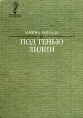 Под тенью лилии