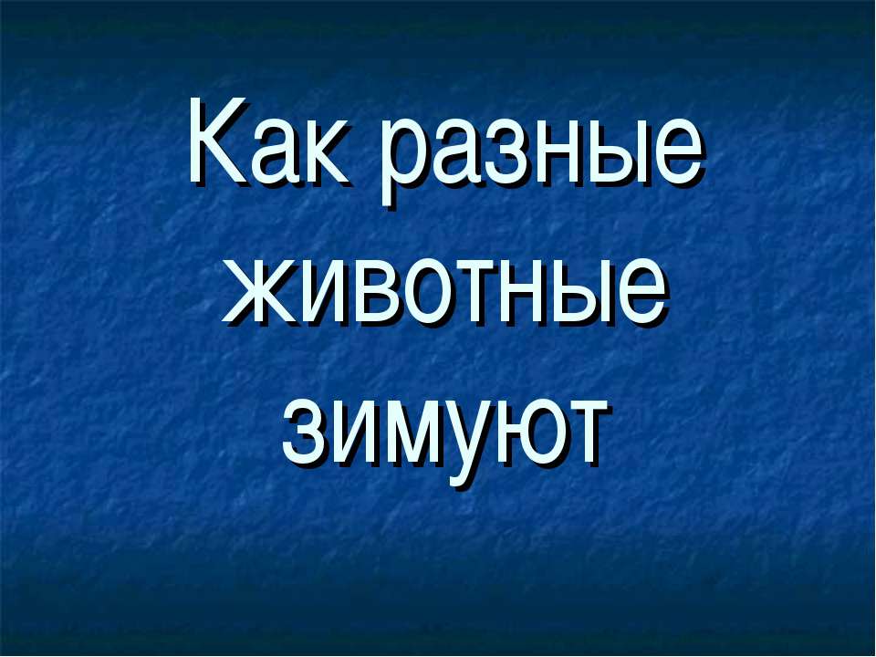 Как разные животные зимуют