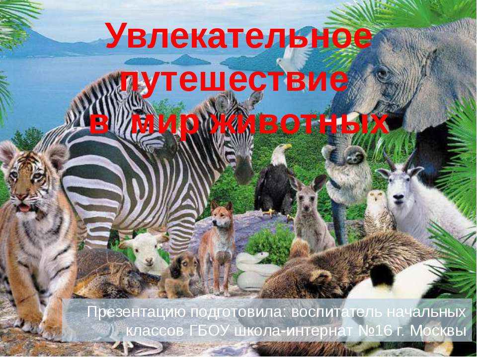 Увлекательное путешествие в мир животных