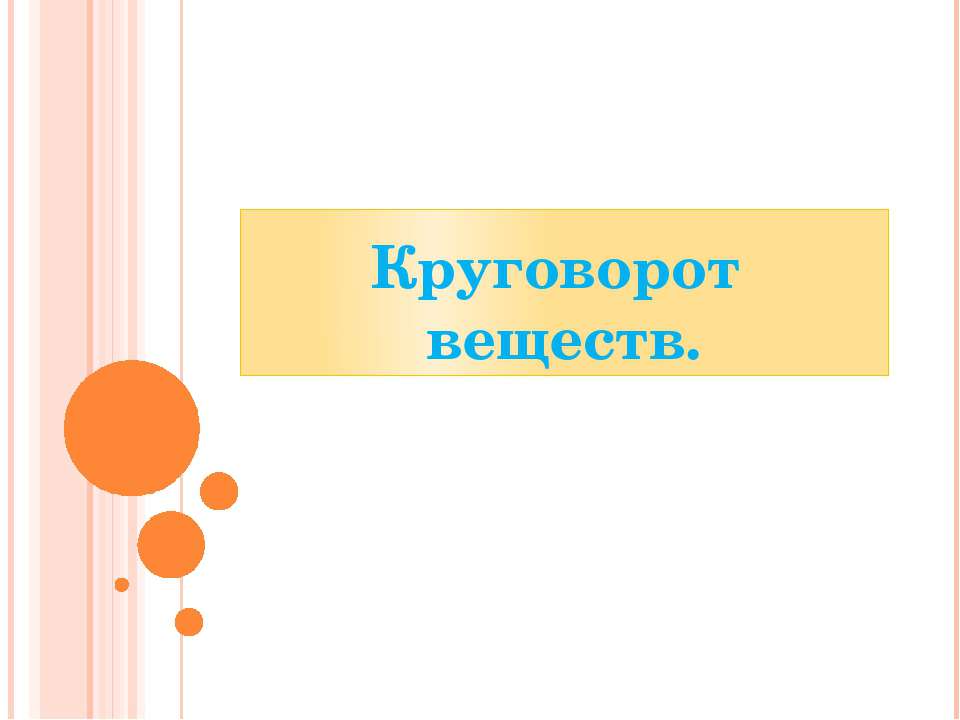 круговорот веществ