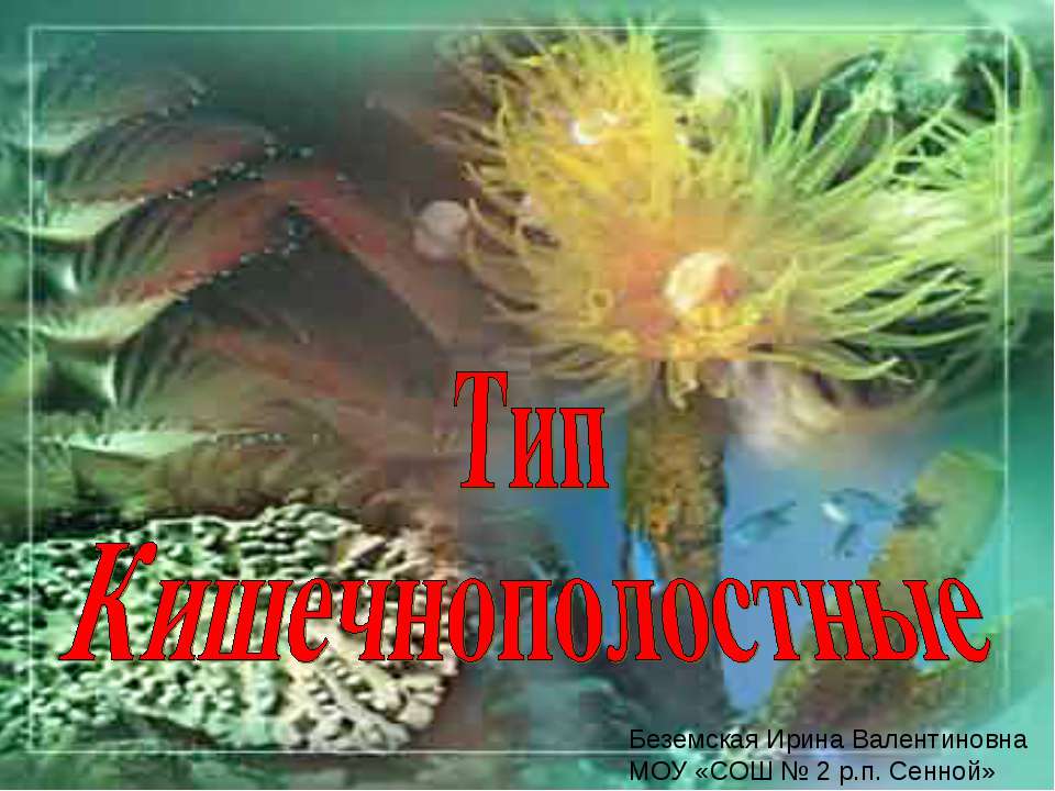 Тип Кишечнополостные