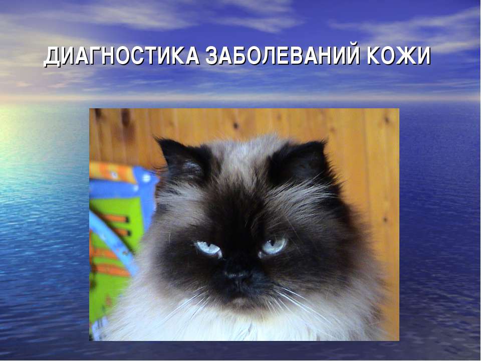 Кожные заболевания