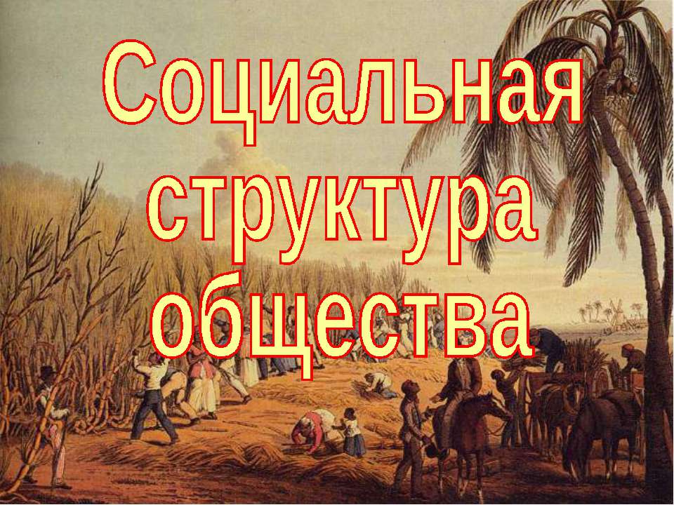 Социальная структура общества (для 8 класса)