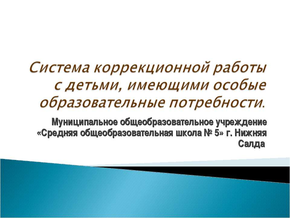 Система коррекционной работы с детьми, имеющими особые образовательные потребности